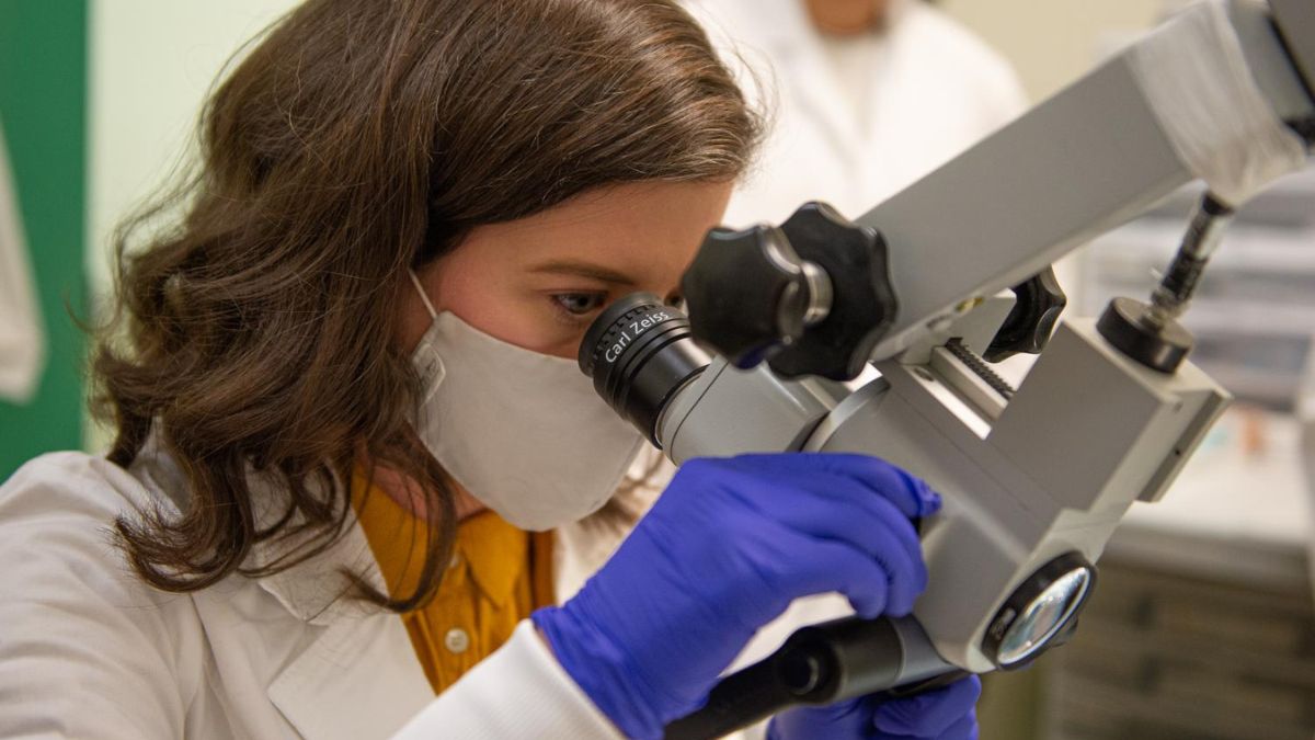 MedTech Investment How Pioneer Group is Supporting the GameChangers