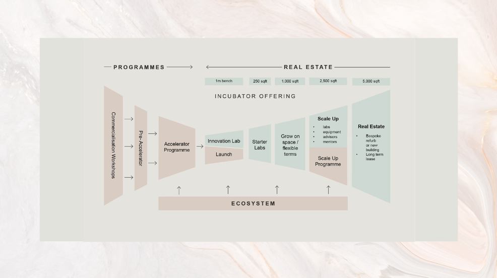 Lab Space London: image contains a graphic that visually represents the Victoria House ecosystem, split up into sections that are connected via arrows. 

To the left, there is a section titled "Programmes", which includes Commercialisation workshops, pre accelerator, and the accelerator programme. Next, under the heading "real estate", from left to right, there aresections titled Innovation Lab and launch, Starter Labs,  grow on space / flexible terms, Scale up (including scale up programme), and Real Estate. 

The graphic depicts how all of these sections link together, demonstrating how life sciences companies have room to grow at Victoria House.