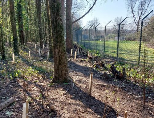 Nurturing Nature on Cardiff Edge’s Doorstep