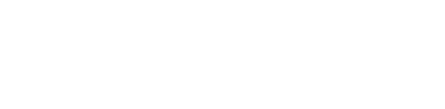 Pioneer Group Logo